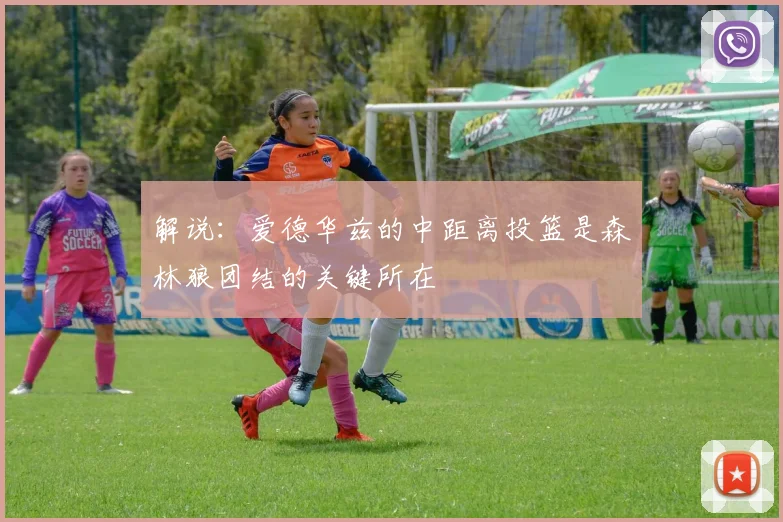 解说：爱德华兹的中距离投篮是森林狼团结的关键所在